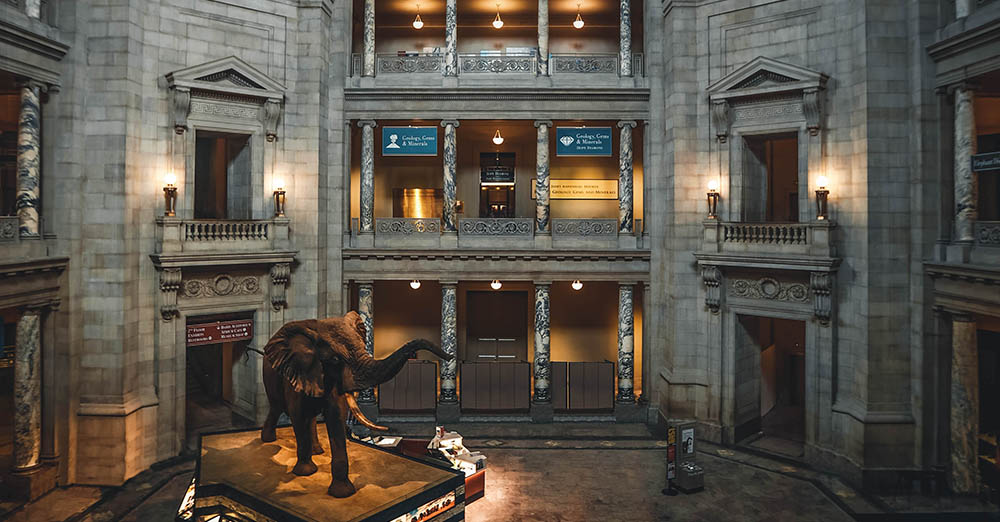 large museum room with white reflective flooring and several images on the walls